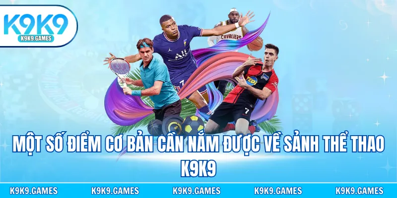 Một số điểm cơ bản cần nắm được về sảnh thể thao K9K9